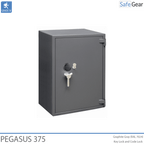 Pegasus 375 - em3035 electronic lock and key lock